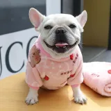 Pet Small Dog Cloth Bull Flannel Keep Warm Strawberry Bear