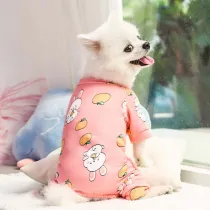 Pet Dog Cloth Schnauzer Rainbow Printed Pullover Shirt Puppy Cloth