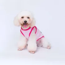 Pet Dog Cloth Corgi Schnauzer The Princess Puppy Vest