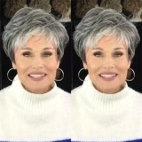 Women Silver Grey Short Roll Wig