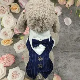 Pet Dog Cloth Schnauzer Teddy T-shirt and Vest Suit Formal Apparel Outfit