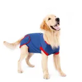 Pet Dog Cloth Surgery Anti-licking and Anti-scratch Recovery Suit