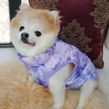 Pet Dog Cloth Winter Lattic Spider Printed Cotton Zipper Vest Puppy Cloth