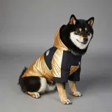 Pet US Fashion Golden The Dog Face Windproof Hooded Waterproof Jacket