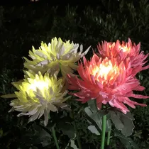 Modern Outside Ground Decorations Security Waterproof Landscape Lighting Led Solar Lights Outdoor For Garden