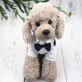 Pet Dog Cloth Schnauzer Teddy T-shirt and Vest Suit Formal Apparel Outfit