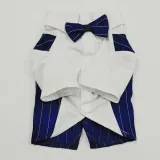 Pet Dog Cloth Schnauzer Teddy T-shirt and Vest Suit Formal Apparel Outfit