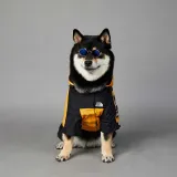 Pet US The Dog Face Windproof Hooded Waterproof Jacket