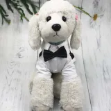 Pet Dog Cloth Schnauzer Teddy T-shirt and Vest Suit Formal Apparel Outfit