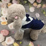Pet Dog Cloth Schnauzer Teddy T-shirt and Vest Suit Formal Apparel Outfit