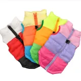Pet Dog Color Stitching Winter Cotton Vest Puppy Cloth