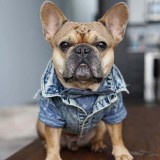 Pet Dog Cloth Corgi Bulldog Denim Vest