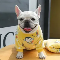 Pet Small Dog Cloth Bull Flannel Keep Warm Strawberry Bear