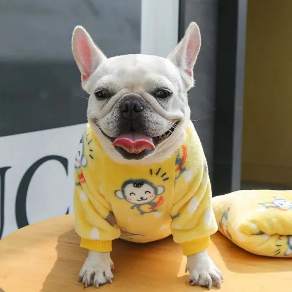 Pet Small Dog Cloth Bull Flannel Keep Warm Strawberry Bear