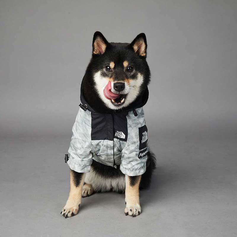 Pet Dog Gray Windproof Hooded Waterproof Jacket