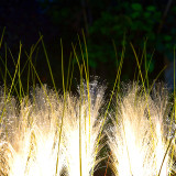 Led Outdoor Fiber Optic Reed Lantern Lamps On The Lawn Of Ear Of Wheat Lights