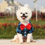 Pet Dog Cloth Lattice Bow Tie Prince Puppy Cloth
