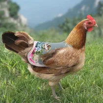 Pet Vest Flower Pattern Lace Cloth Feather Protection for Chicken and Duck