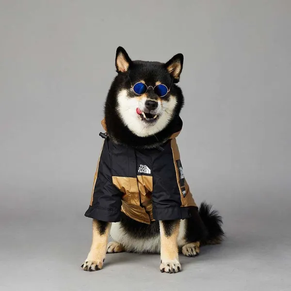 Pet US Fashion Golden The Dog Face Windproof Hooded Waterproof Jacket