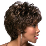 Women Dark Brown Synthetic Pretty Short Curly Hair Fluffy Wig Slanted Bangs Wig