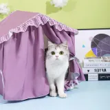 Cute Pet Tent Nest Detachable Washable Breathable Pet Princess House