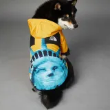 Pet US The Dog Face Windproof Hooded Waterproof Jacket