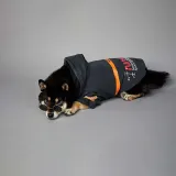 Pet Dog Windproof Hooded Waterproof Nasa Space Suit Raincoat
