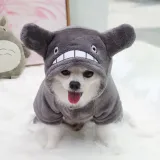 Pet Dog Clothes Cartoon Totoro Hoodie Flannel Sleepwear With Hat
