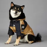 Pet US Fashion Golden The Dog Face Windproof Hooded Waterproof Jacket