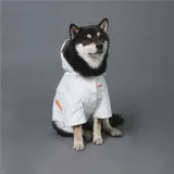 Pet Dog Windproof Hooded Waterproof Nasa Space Suit Raincoat