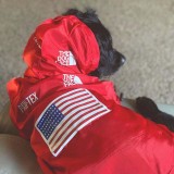 Pet The Dog Face Windproof Hooded Waterproof Jacket