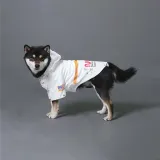 Pet Dog Windproof Hooded Waterproof Nasa Space Suit Raincoat