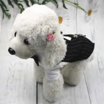 Pet Dog Cloth Schnauzer Teddy T-shirt and Vest Suit Formal Apparel Outfit