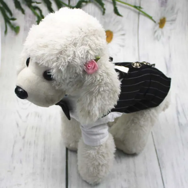 Pet Dog Cloth Schnauzer Teddy T-shirt and Vest Suit Formal Apparel Outfit