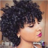 Women Gorgeous African Short Curly Wig