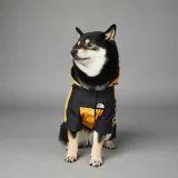 Pet US The Dog Face Windproof Hooded Waterproof Jacket