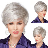 Women Synthetic Silver Pretty Short Hair Natural Wigs Fluffy Cut Full Wig