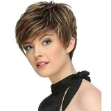 Women Synthetic Natural Mixed Color Pretty Short Fluffy Hair Wigs Lnclined Bang Wig