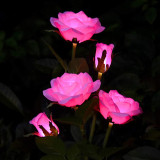 Solar Rose Flower Beautiful Garden Decorative Stainless PVC Stake Lamp Multi Color Floral Lighting for Lawn Landscape