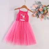 Girls Birthday Dress Puffy Slip Name Custom Birthday Celebration Cartoon Piggy Tutu Dress