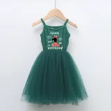 Girls Multicolor Puffy Slip Name Custom Birthday Celebration Cartoon Mouse Tutu Dress
