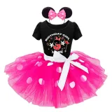 Girls Custom Name Birthday Celebration Mouse Puffy Polka Dots Tutu Dress With Headbands