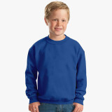 Toddler Boy & Girl Long Sleeve Solid Color Sweatshirt
