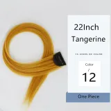 Hair Extensions Synthetic Hanging Ears Dyed 22Inch Color Straight Long Wig