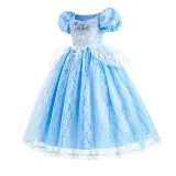 Toddler Girls Puffy Sleeve Embroidery Lace Costumes Princess Dress