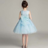 Toddler Girls Sleeveless Embroidery Back Bowknot Formal Gowns Dress