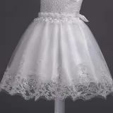 Toddler Girls Sleeveless Pearls Collar Formal Midi Embroidery Puffy Dress