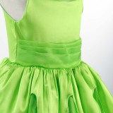 Toddler Girls Flying Sleeve Green Costumes Princess Dress with Butterfly Wings