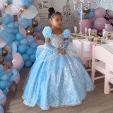Toddler Girls Puffy Sleeve Embroidery Lace Costumes Princess Dress