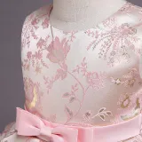 Toddler Girls Sleeveless Flower Embroidery Bowknot Belt Formal Midi Puffy Cake Dress